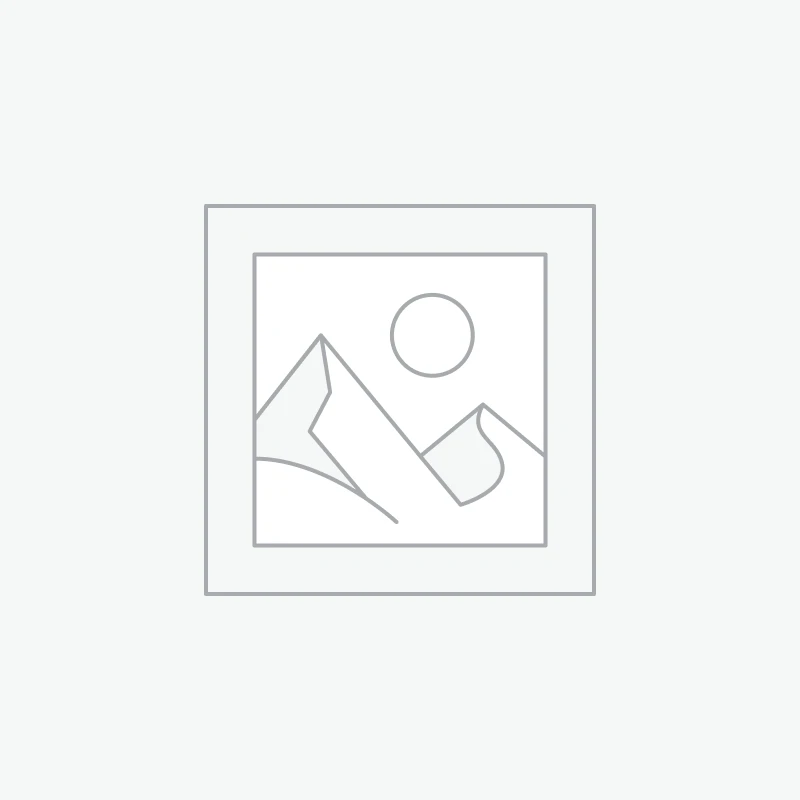 Torno Pulidor Strong 210 + 105L 40.000 rpm  - INSA2810