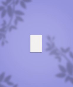 Mini Buffer Rectangular Mini EXPERT 51 100/180 (MINI TACO)– INS2104